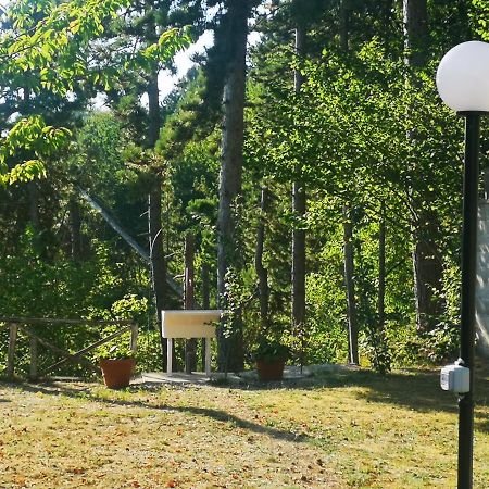 Poggio Eco B&B Ασκόλι Πιτσένο Εξωτερικό φωτογραφία