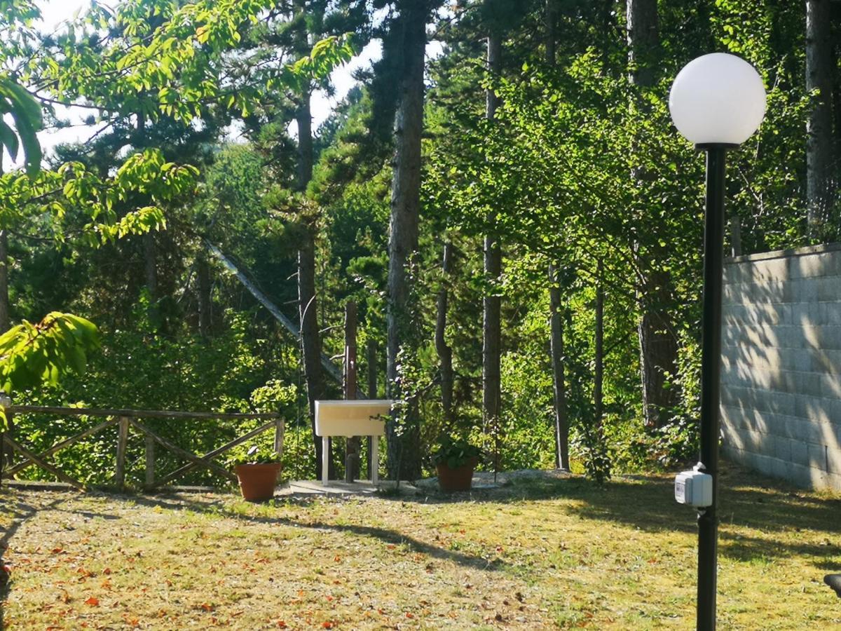 Poggio Eco B&B Ασκόλι Πιτσένο Εξωτερικό φωτογραφία