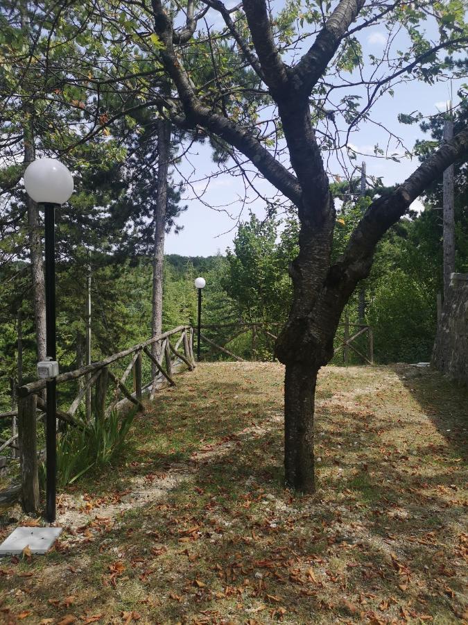 Poggio Eco B&B Ασκόλι Πιτσένο Εξωτερικό φωτογραφία
