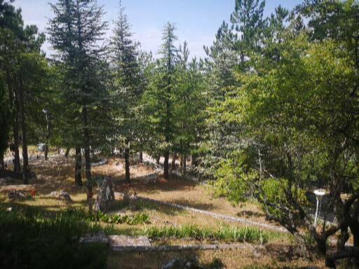 Poggio Eco B&B Ασκόλι Πιτσένο Εξωτερικό φωτογραφία