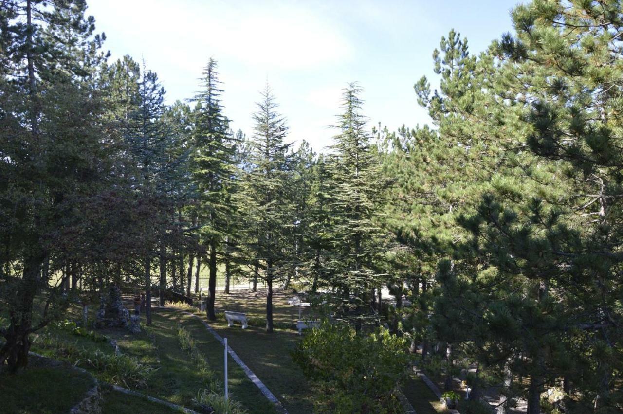 Poggio Eco B&B Ασκόλι Πιτσένο Εξωτερικό φωτογραφία