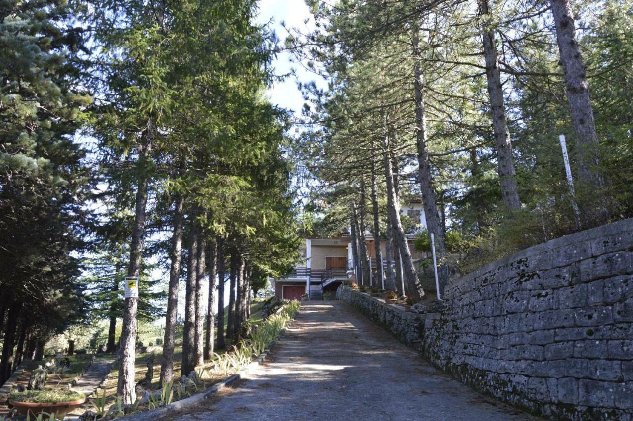 Poggio Eco B&B Ασκόλι Πιτσένο Εξωτερικό φωτογραφία