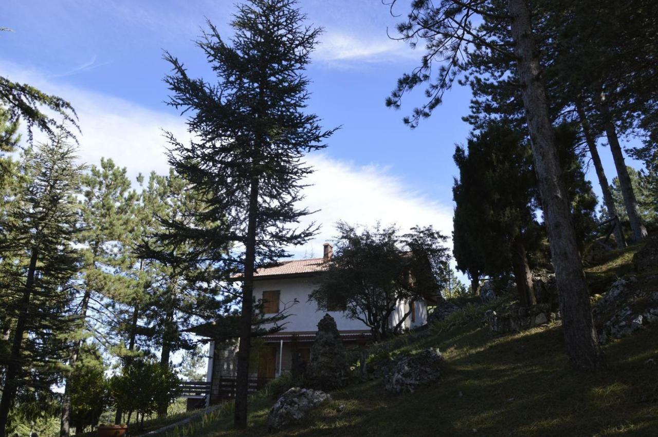Poggio Eco B&B Ασκόλι Πιτσένο Εξωτερικό φωτογραφία